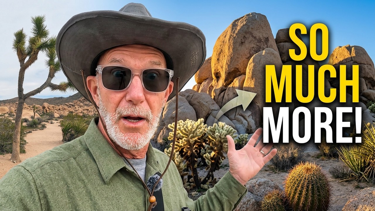 Национальный парк Джошуа-Три — это гораздо больше, чем просто деревья Джошуа.