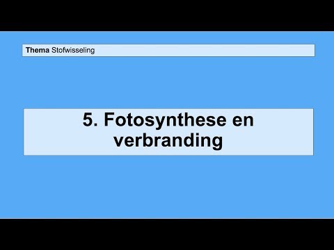 Video: Bacteriële Plantenverbranding