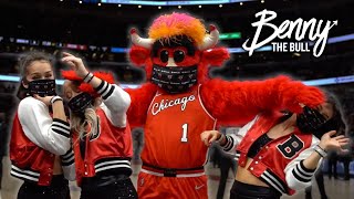 Benny the Bull BEST MASCOT MOMENTS