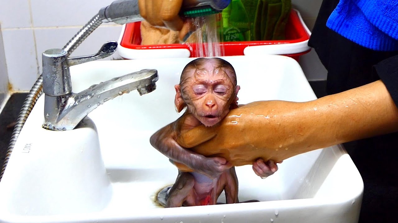 Little Baby Axel Screaming Show Mom Stop Drop Water On Him That's ...