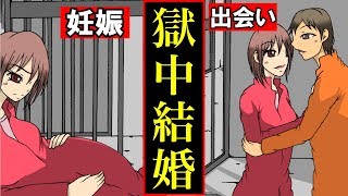 【漫画】獄中結婚するとどうなるのか？牢獄で愛を求めたカップルの末路・・・(マンガ動画）