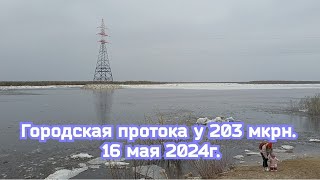 16 мая 2024г. Обстановка на Городской протоке у 203 мкрн.