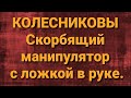 Семья Колесниковых/Новости из Дворца.