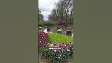 سوره الحج بصوت الشيخ عبدالرحمن مسعد#لا_اله_الا_الله_محمد_رسول_الله#اللهم_صل_وسلم_على_نبينا_محمد