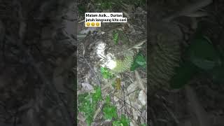 Panen durian!!! malam hari banyak durian jatuh #durianlokal #kebunduren #durianviral #panendurian