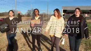 Meet the Herb Interns!