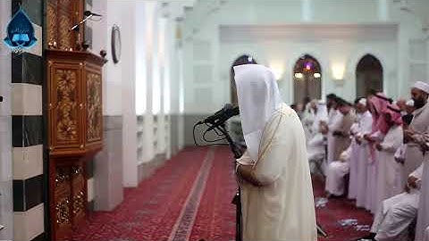 القارئ يحفظ الشنقيطي