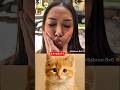 #cat #funny #memes