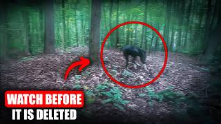 DEEP WOODS HORROR- 90 Minutes Of TERRIFYING Forest & Trail Encounters Caught On Camera