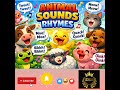 Kid's rhymes in English,, Welcome to Animal sounds 👆💯