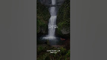 { يا ايها الانسان ما غرك بربك الكريم } القارئ عبدالباسط عبدالصمد