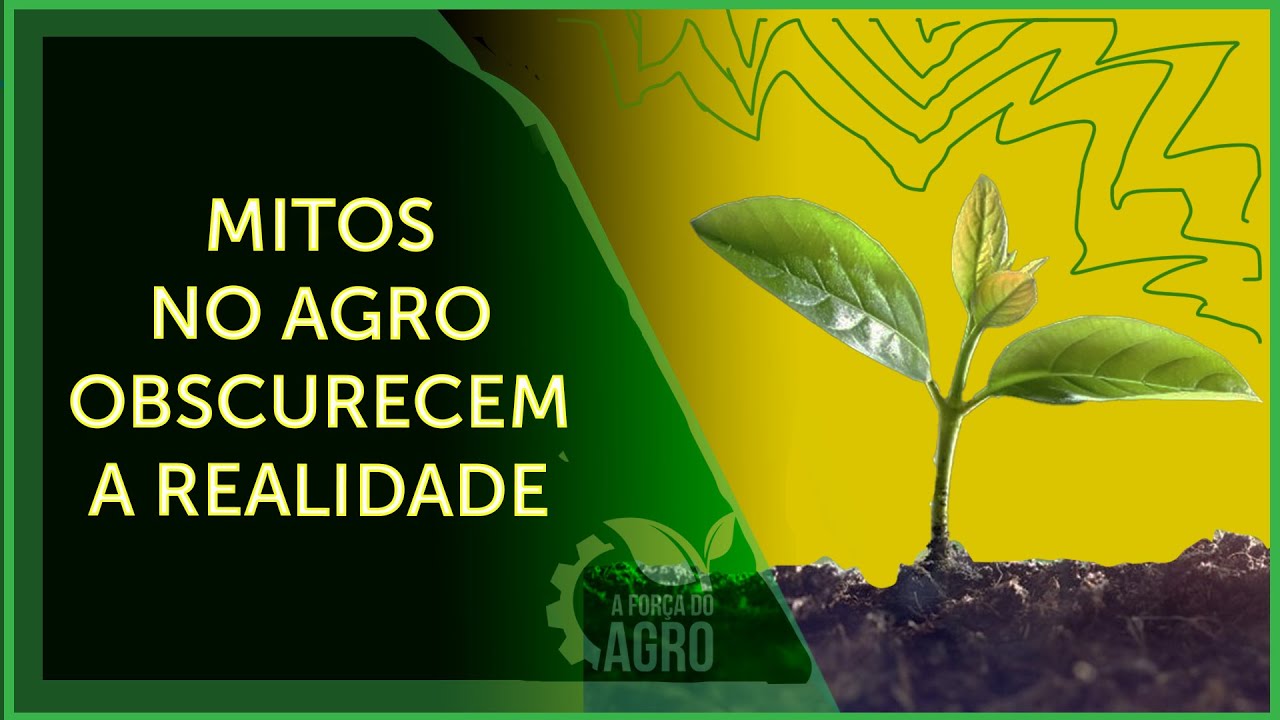 O agricultor brasileiro é o que mais preserva a vegetação nativa