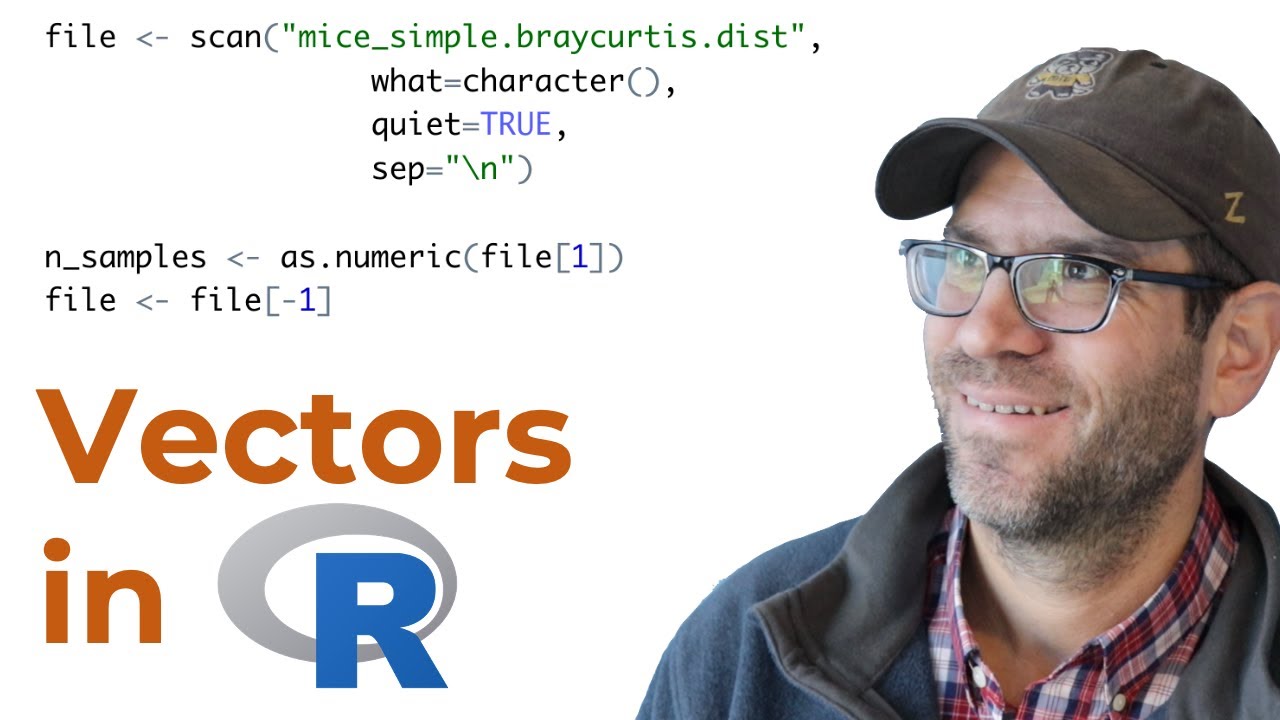 Using Base R To Access And Remove Values From A Vector (Cc171)