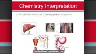 Blood Work Interpretation, Nashville Veterinary Specialists, Kelly Wang, DVM, MS, DACVIM