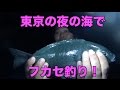 #6 東京の海で釣った魚で生活in伊豆大島！【健啖隊コラボ】