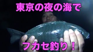 #6 東京の海で釣った魚で生活in伊豆大島！【健啖隊コラボ】