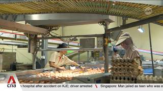 Five farms affected by land-use change as south of Lim Chu Kang to be set aside for defence