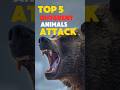 TOP 5 Top 5 Remarkable Animal Attack Techniques