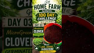 🏡 Home Farm 100 Day Challenge Begins! MicroGreens Are Sprouting!