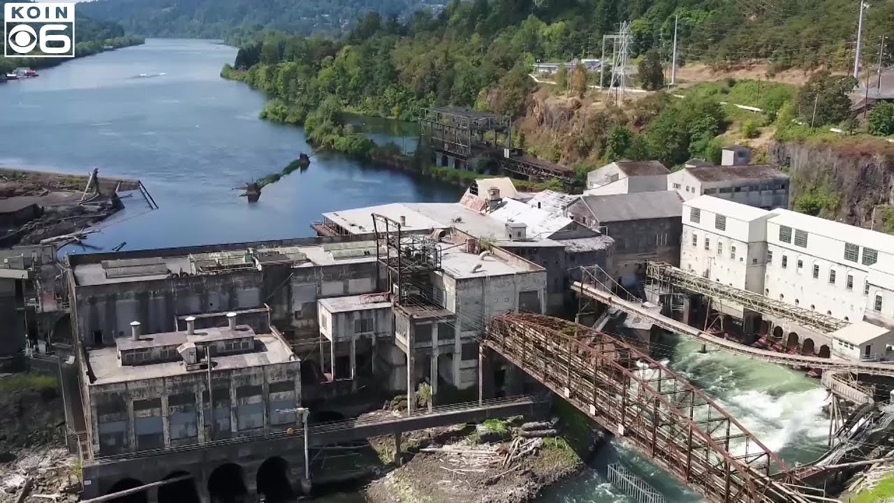 West Linn mill tests non-wood paper, aims for sustainability