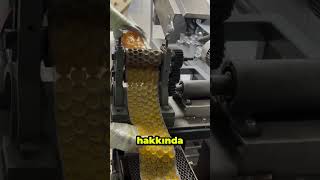 Papadan Hakaret Alan Ilk Insan