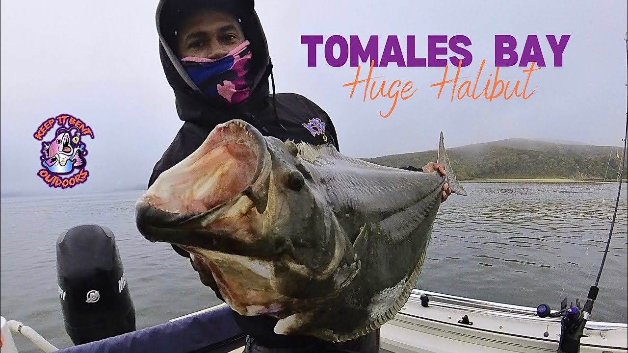 MONSTER Halibut Fishing Tomales Bay | NEW PB
