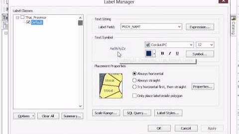 ArcGIS : How to use Labeling Toolbar in ArcMap