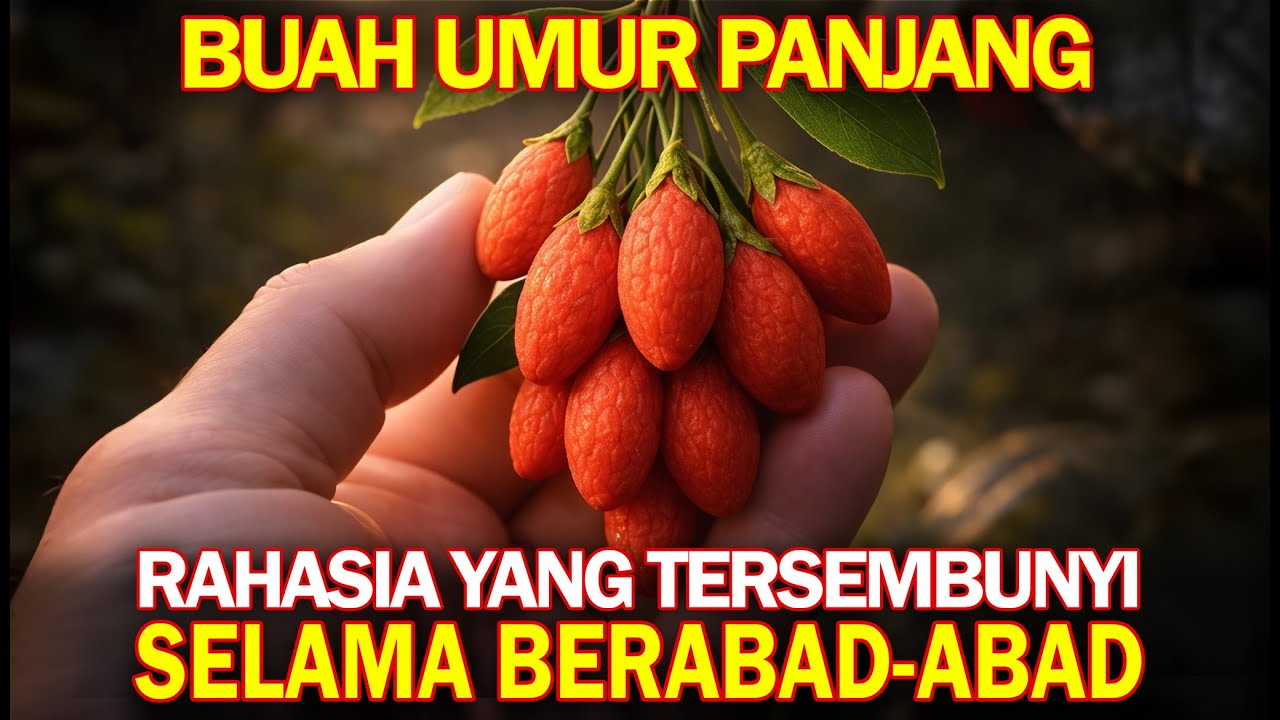 Buah umur panjang. Membalikkan penuaan dan tumbuh selamanya. Mengapa kamu belum mengetahuinya?