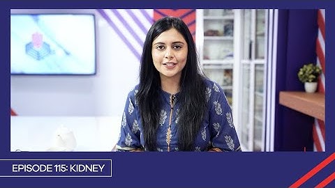 Learn with PGC | Smart Learning EP 115 | Kidney