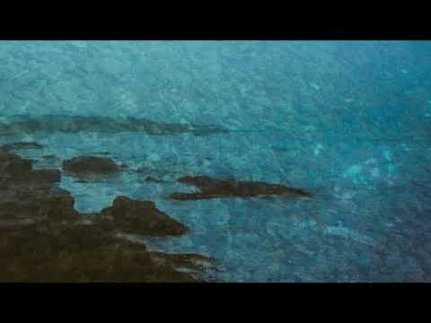 HarborLights — HarborLights "A Year Without Summer"
