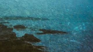 HarborLights "A Year Without Summer"