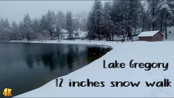 Lake Gregory 12 inches snow walk Crestline CA in 4K