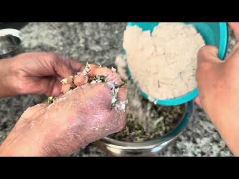 Akki Roti | Ragi Roti - YouTube