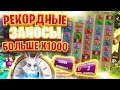 Мега Заносы в White Rabbit | Рекорды Данлудана в Белом Кролике x1000+