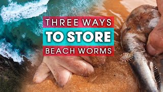 Three (3) Ways To Store Your BEACH WORMS!! 