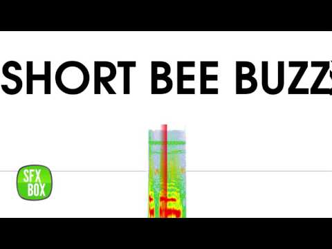 Short Bee Buzz Sound Effect