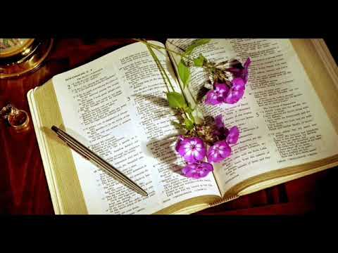 ქებათა-ქება სოლომონისა