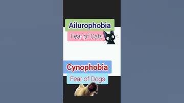 Fear of Cats #funfacts #sciencefacts #biology