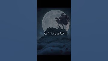 اكتب شيء تؤجر عليه 😴💚 قران كريم | عبد الرحمن مسعد