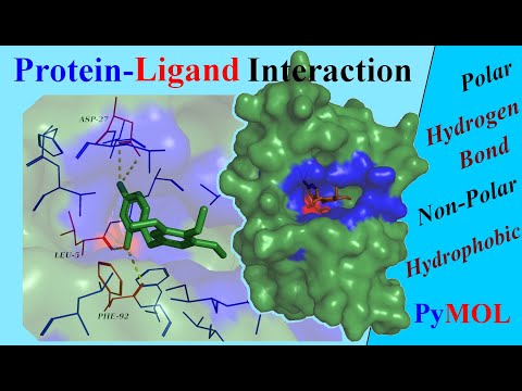 Video: 3D-QSAR Studie Steroidních A Azaheterocyklických Inhibitorů Lidské Aromatázy Využívající Kvantitativní Profil Interakcí Protein-ligand