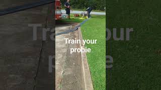 #firefighter #training #trainyourprobie #watersupply #firehydrant #firetraining
