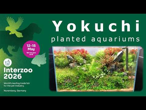 Interzoo 2026 - aquariums @ Yokuchi