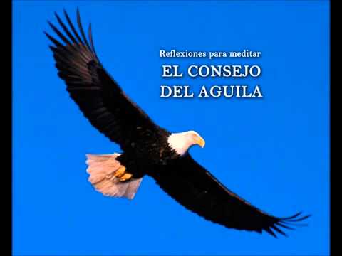 Ver las imágenes de origen