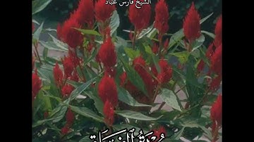 سورة الفلق | الشيخ فارس عباد،  استغفر الله العظيم واتوب اليه