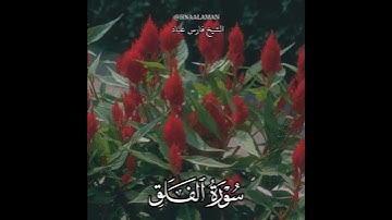 سورة الفلق | الشيخ فارس عباد،  استغفر الله العظيم واتوب اليه