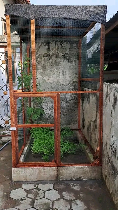 make a mini aviary with a capital of 100 thousand? #aviary #birds #animals #pets #kicaumania #vir...