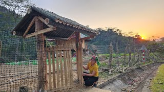 Download Lagu Single Mom - Expanding the farm, completing the gate and taking care of two piglets MP3