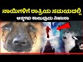 ನಾಯಿಗಳಿಗೆ ಆತ್ಮಗಳು ನಿಜವಾಗಲೂ ಕಾಣುತ್ತಾ ? Secret of Dogs Crying in Night |  Mystery | Kannada News | Dog