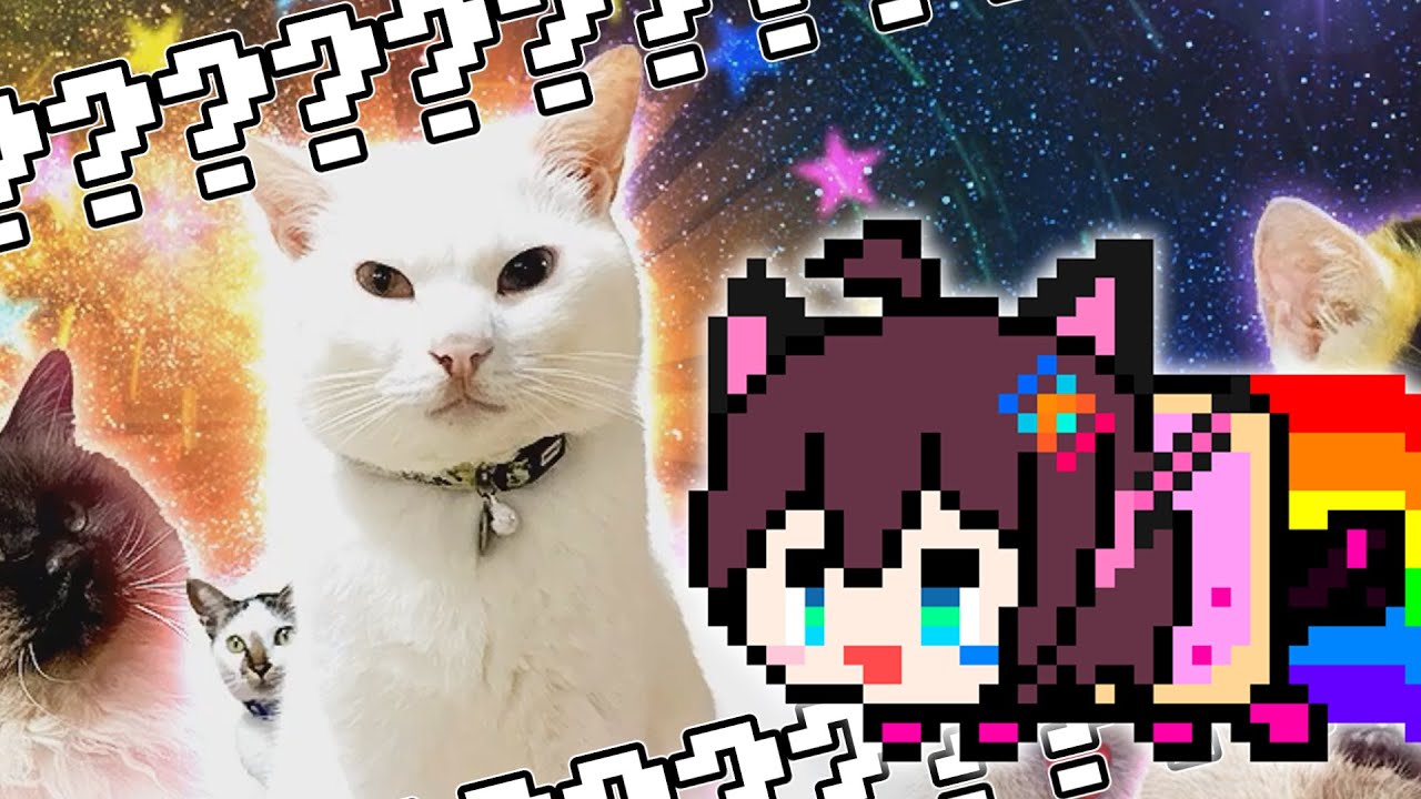 CHUNITHM】CHUNITHM NyaiVERSE #29【ニャニャニャ！ネコルミナタイム