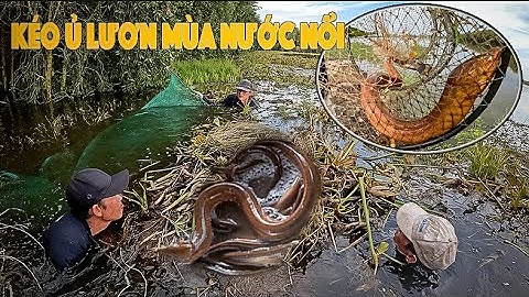 Cuộc sống săn bắt mùa nước nổi 2024 - Tập 6 | Gấc Quê